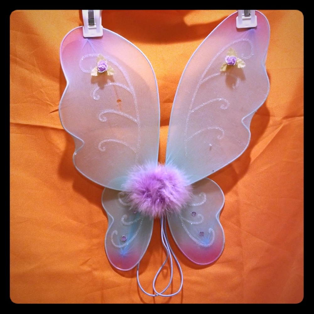 Fairy wings